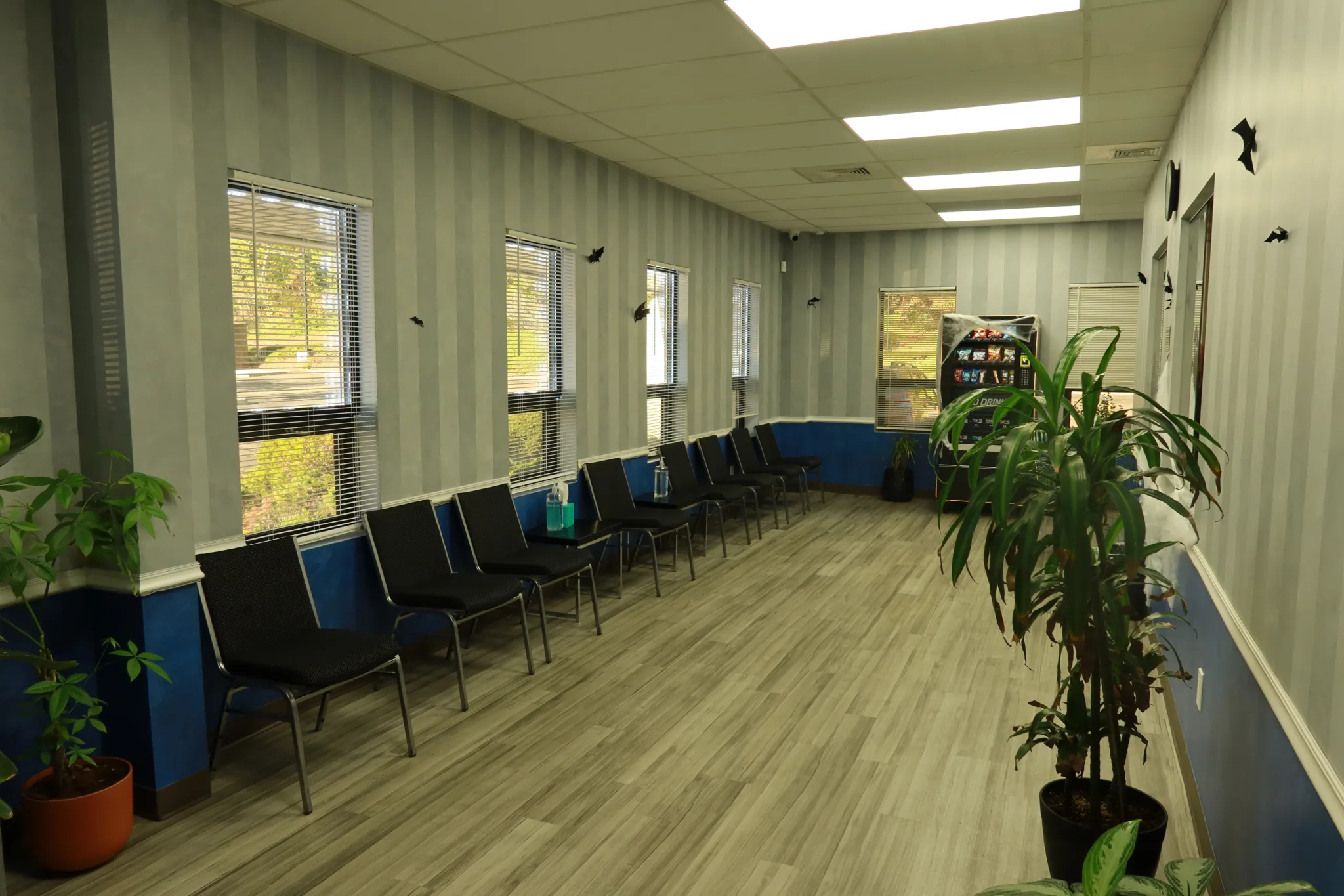 Waiting room with chairs along the windows and potted plants, decorated for Halloween