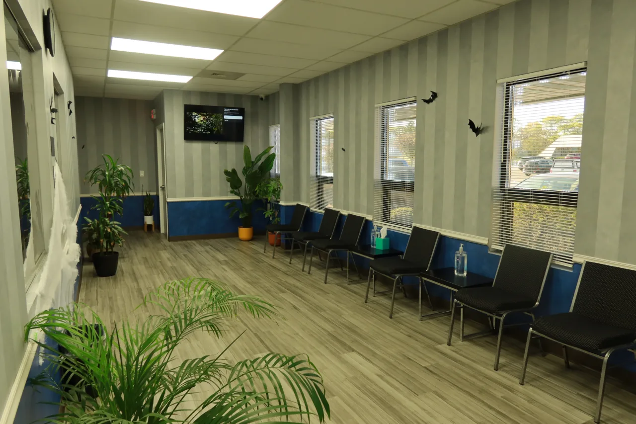Waiting room with chairs along the windows, potted plants and a wall-mounted screen