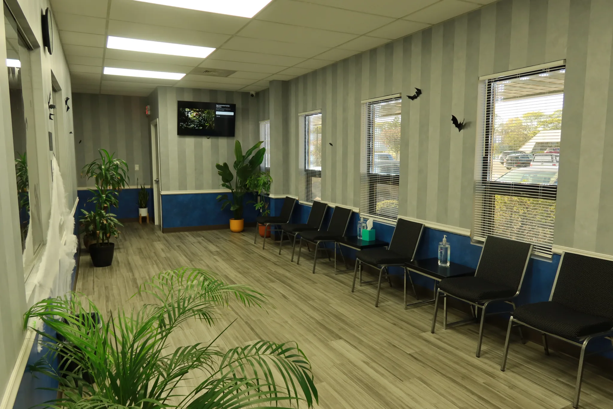 Waiting room with chairs along the windows, potted plants and a wall-mounted screen