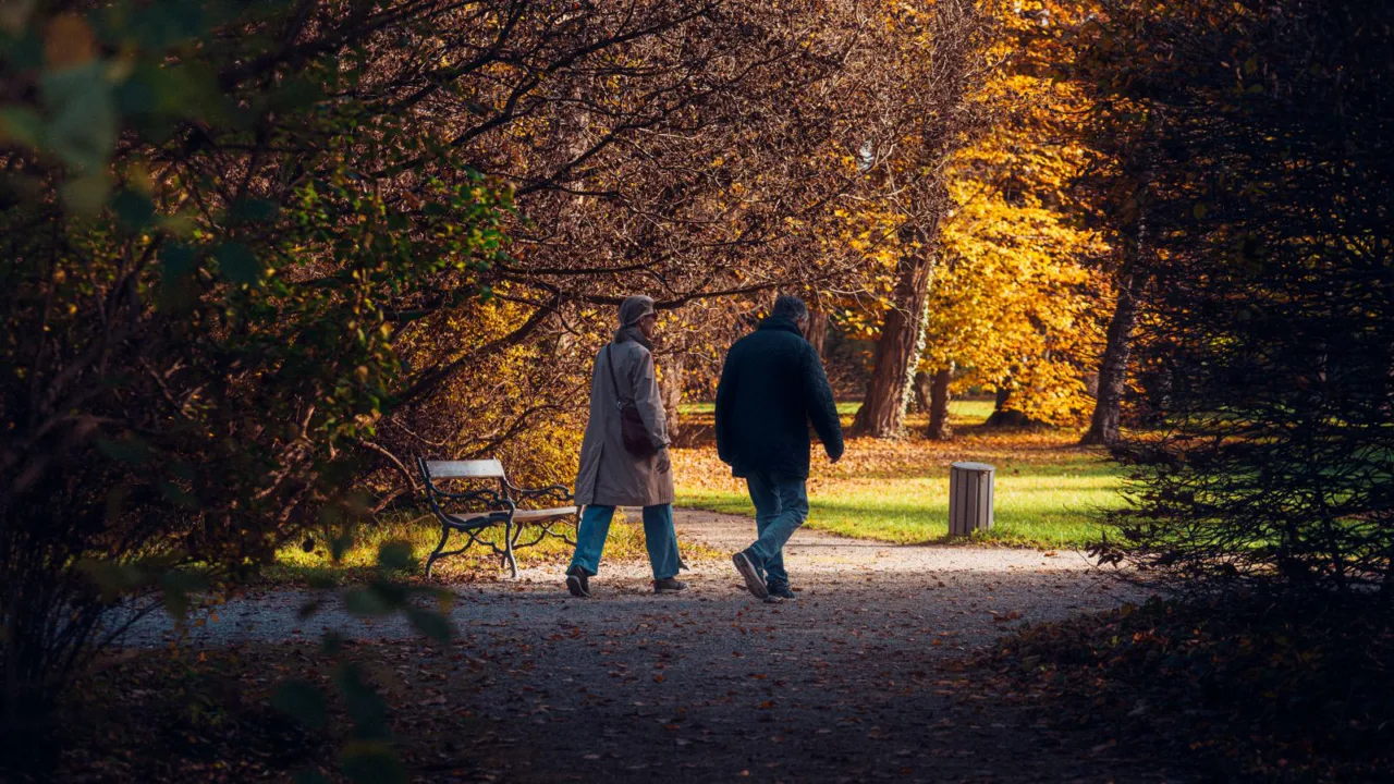 Two people walk along a tree-lined path covered in autumn leaves.
